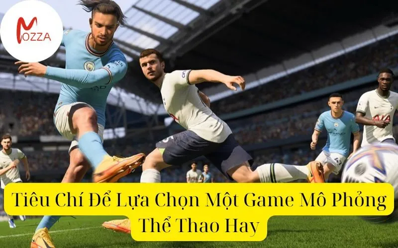 Tiêu Chí Để Lựa Chọn Một Game Mô Phỏng Thể Thao Hay
