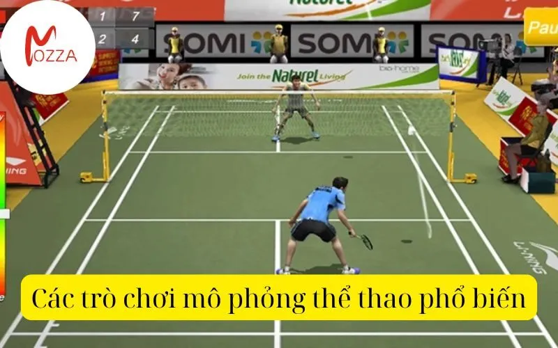 Các trò chơi mô phỏng thể thao phổ biến