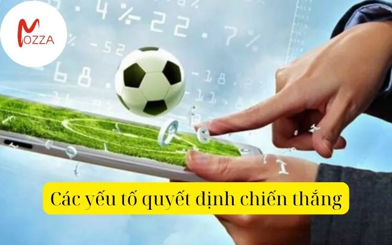 mmlive apkvipo – Tìm hiểu và phân tích sâu sắc về cách chơi cá cược