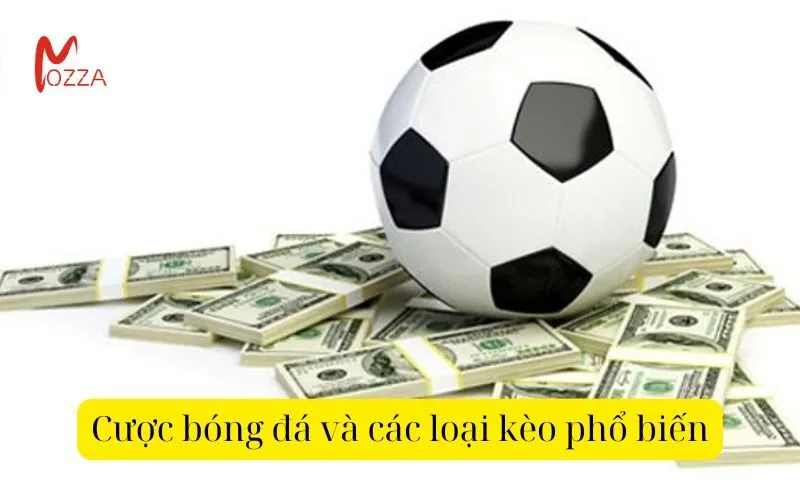 Cược bóng đá và các loại kèo phổ biến