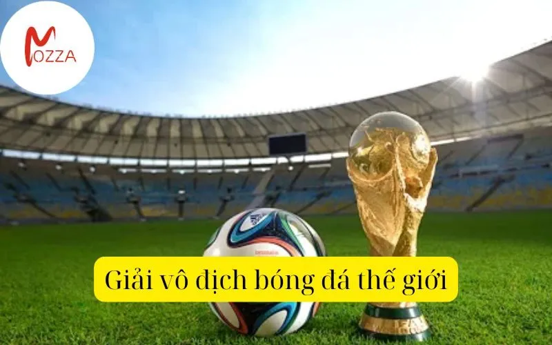 Giải vô địch bóng đá thế giới