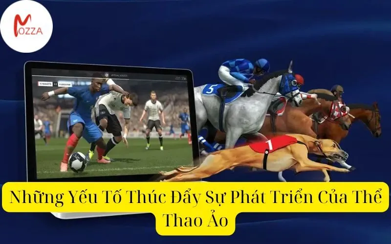 Những Yếu Tố Thúc Đẩy Sự Phát Triển Của Thể Thao Ảo