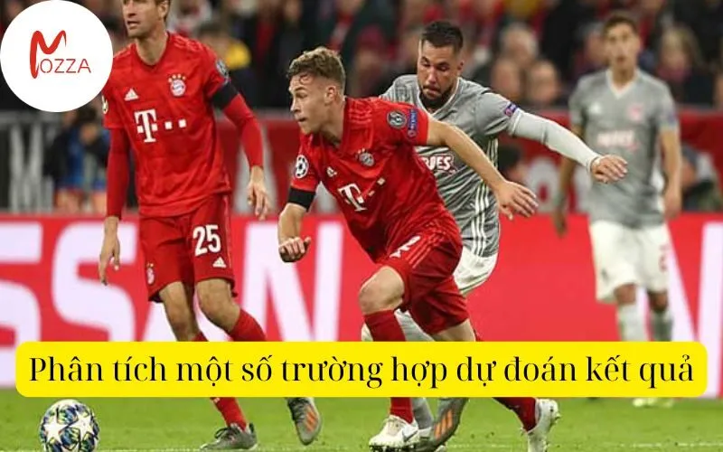 Phân tích một số trường hợp dự đoán kết quả