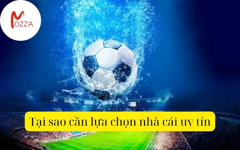 Tại sao cần lựa chọn nhà cái uy tín
