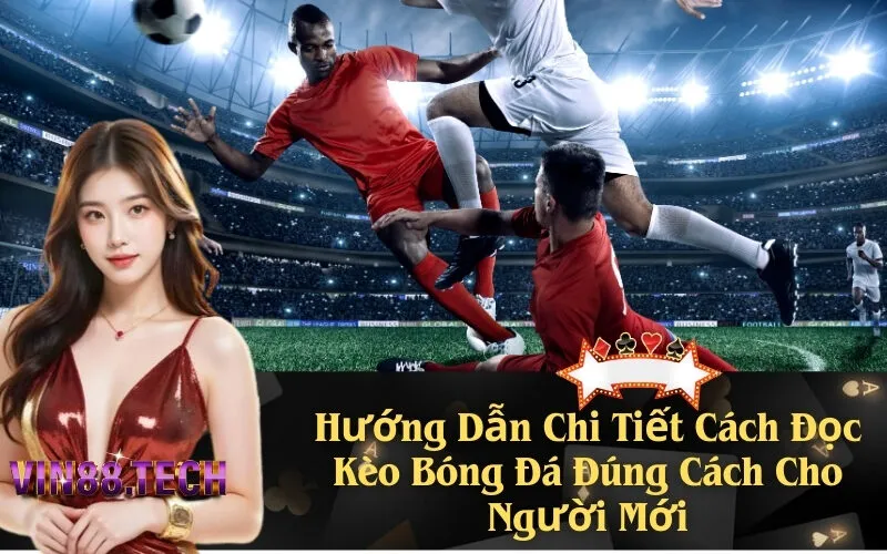 Hướng Dẫn Chi Tiết Cách Đọc Kèo Bóng Đá Đúng Cách Cho Người Mới