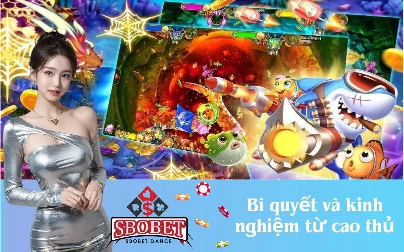 Bí quyết và kinh nghiệm từ cao thủ