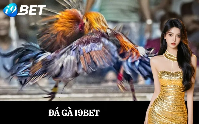 ĐÁ GÀ I9BET