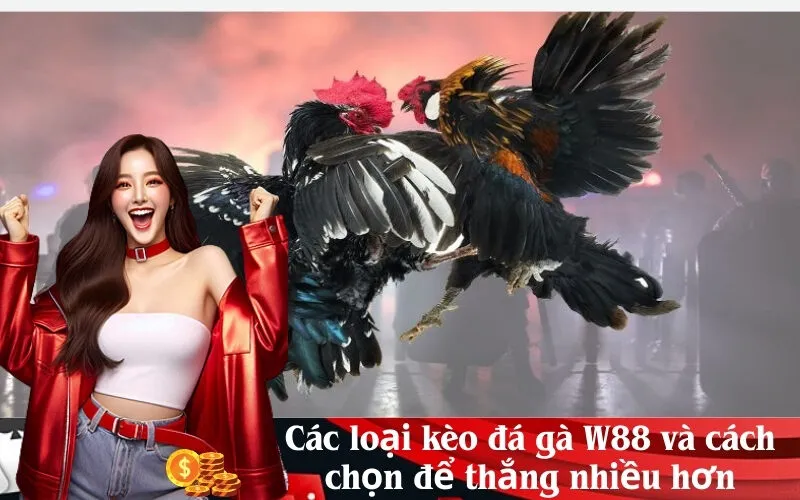 Các loại kèo đá gà W88 và cách chọn để thắng nhiều hơn