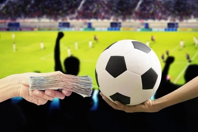 Phương pháp soi kèo bóng đá hiệu quả tại Dom88