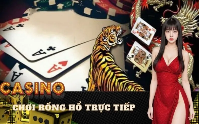 Bí quyết chơi Rồng Hổ trực tiếp dễ thắng