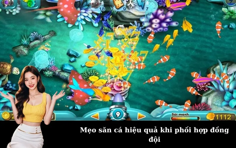 Mẹo săn cá hiệu quả khi phối hợp đồng đội