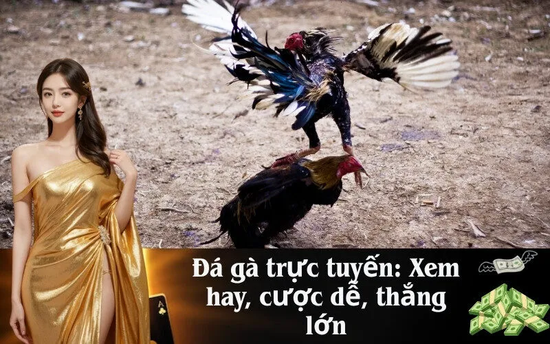 Đá gà trực tuyến: Xem hay, cược dễ, thắng lớn